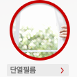 단열필름